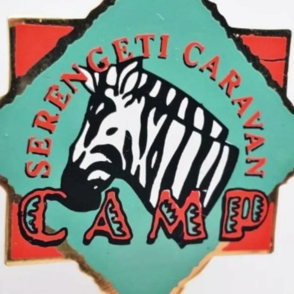 Disney Serengeti Caravan Camp Zebra Pin